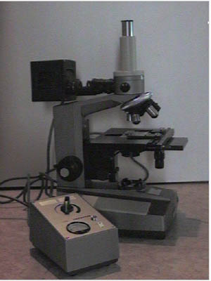 microscope Olympus BHC